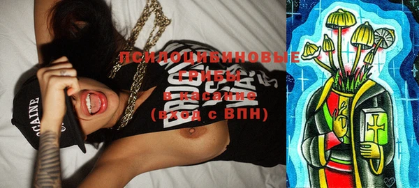 spice Новокубанск