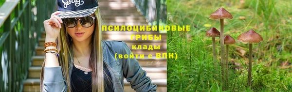 метадон Заводоуковск